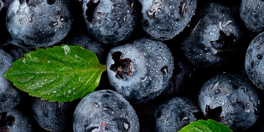 Beneficios de consumir arándanos