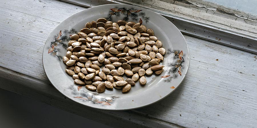 Propiedades de las pepitas de calabaza