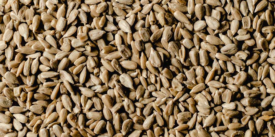 Propiedades pepitas girasol