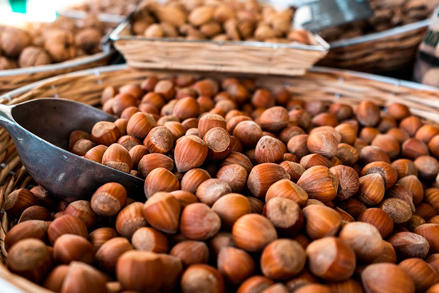 avellanas frutos secos antioxidantes