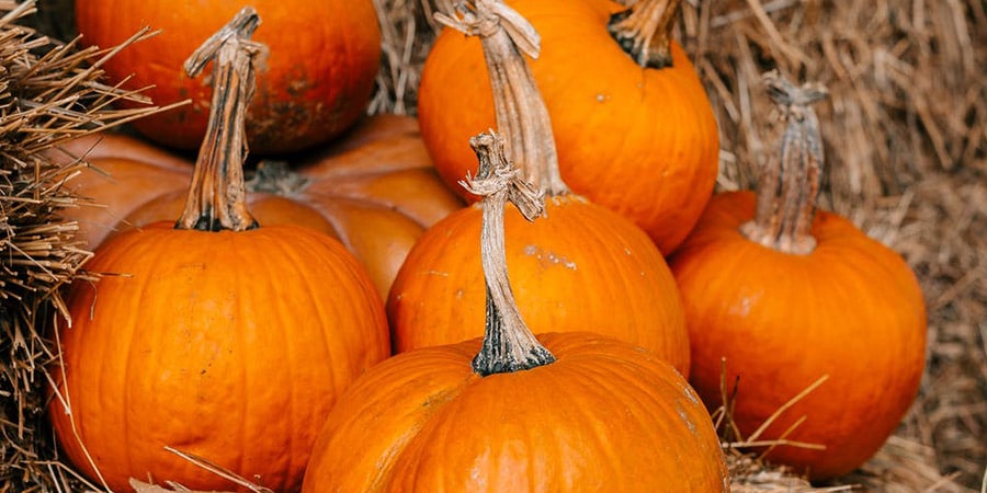 cocinar calabaza saludable