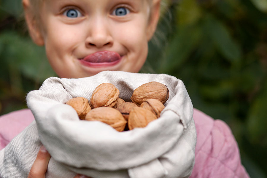 niños comiendo nueces